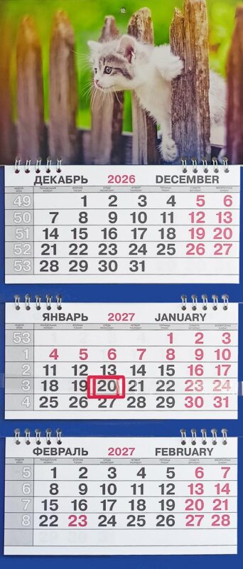 Календарь трио малый Животные"Котёнок на заборе"