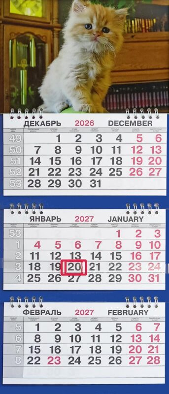 Календарь трио малый Животные"Милый котёнок"