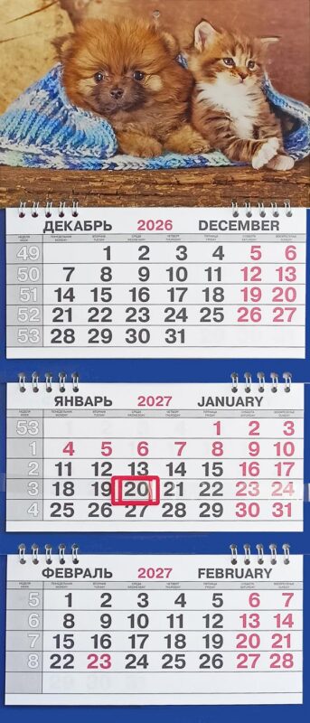 Календарь трио малый Животные"Щенок с котёнком"