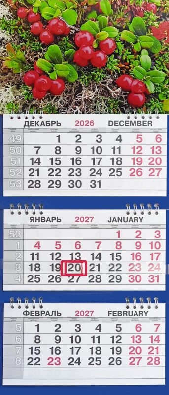 Календарь трио малый Природа"Брусника"
