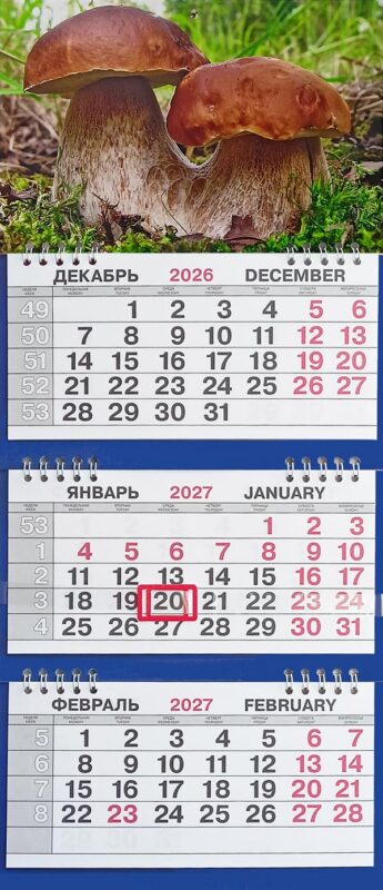 Календарь трио малый Природа"Грибы"