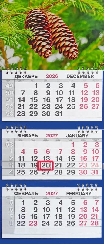 Календарь трио малый Природа"Две шишки"