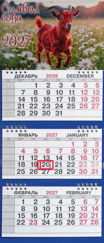 Календарь трио малый СГ В ромашках