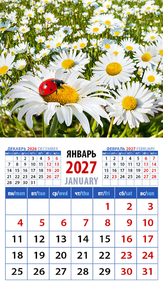 Календарь на магните № 18 Божья коровка