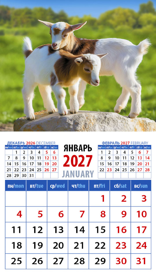 Календарь на магните № 24 Год козы. Забавные малыши