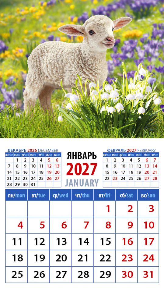 Календарь на магните № 31 Год овцы. Весеннее настроение