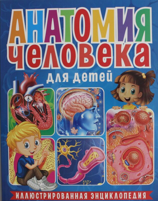 Анатомия человека для детей. Иллюстрированная энциклопедия