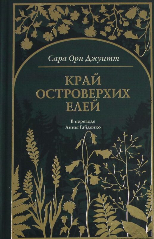 Край островерхих елей