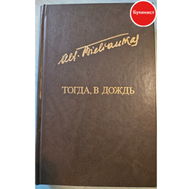 Тогда, в дождь