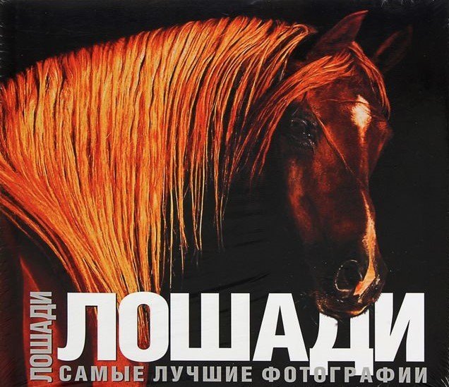 Лошади. Самые лучшие фотографии: Альбом