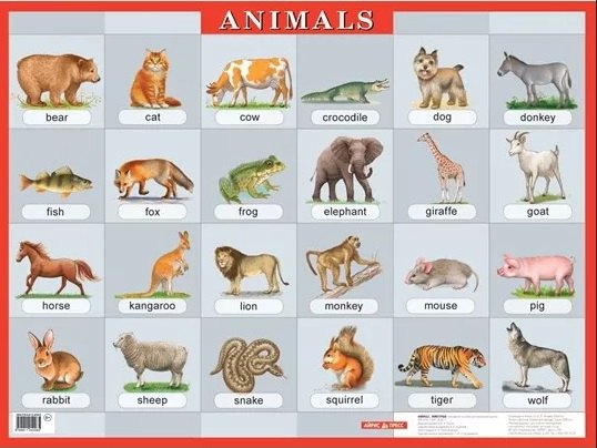 Животные. Animals. Наглядное пособие по английскому языку