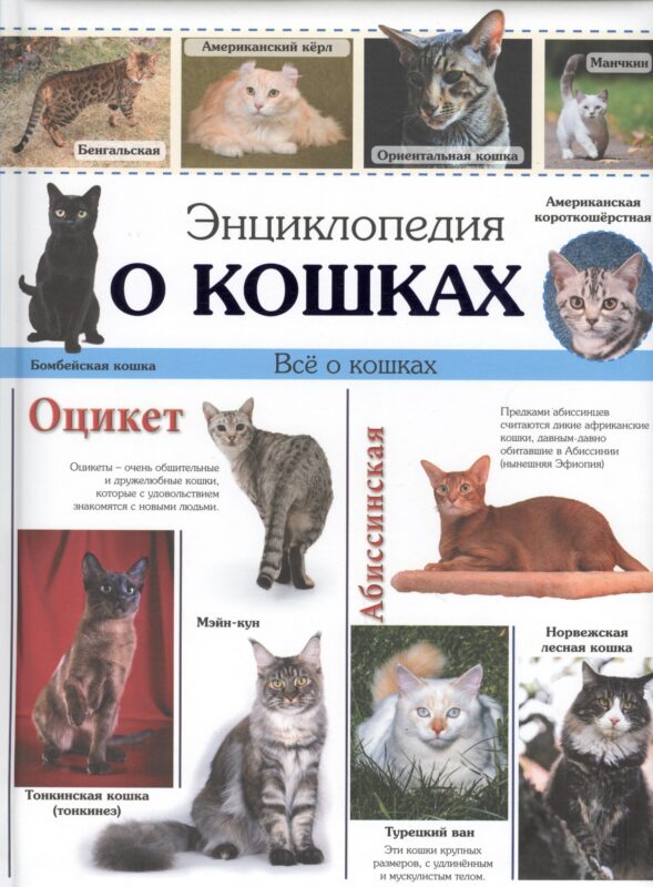 Энциклопедия о кошках