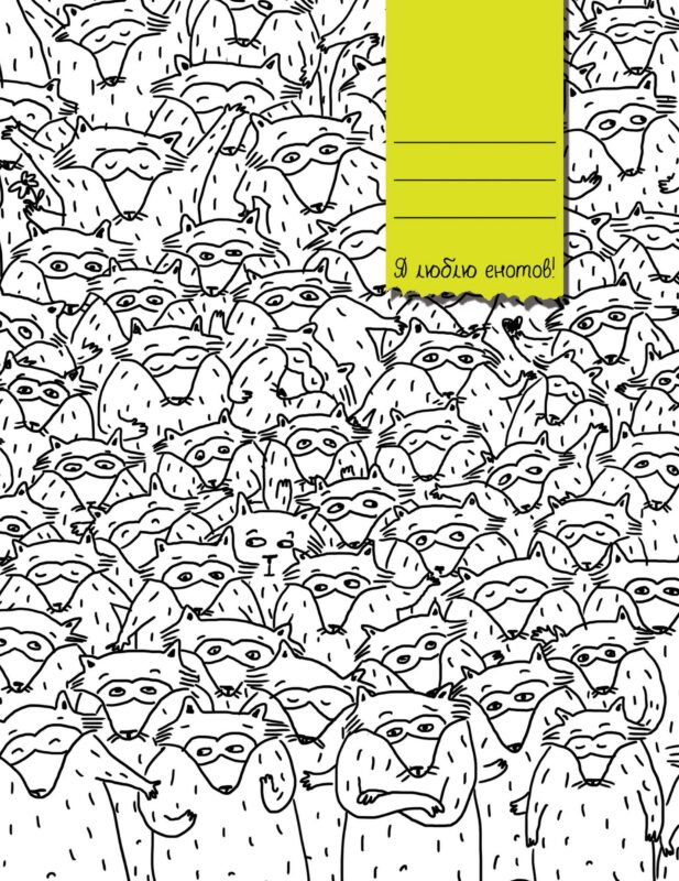 Тетрадь в клетку Эксмо, "Еноты", 48 листов