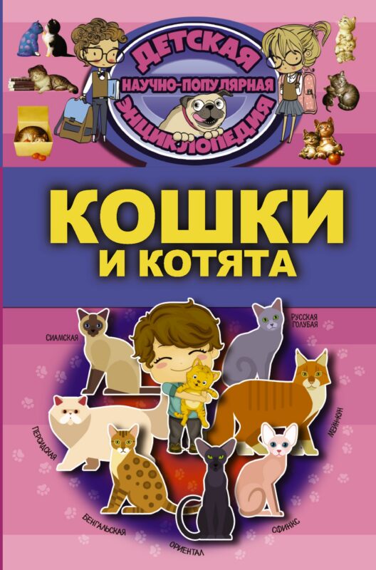 Кошки и котята