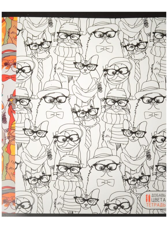 Тетрадь в клетку Unnika, "Магия цвета (орнаменты). Раскраска", 48 листов, в ассортименте