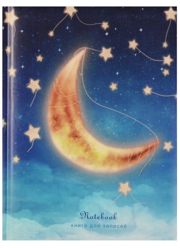 Записная книжка А6 80 листов "Ночное небо"