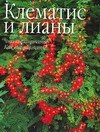 Клематис и лианы
