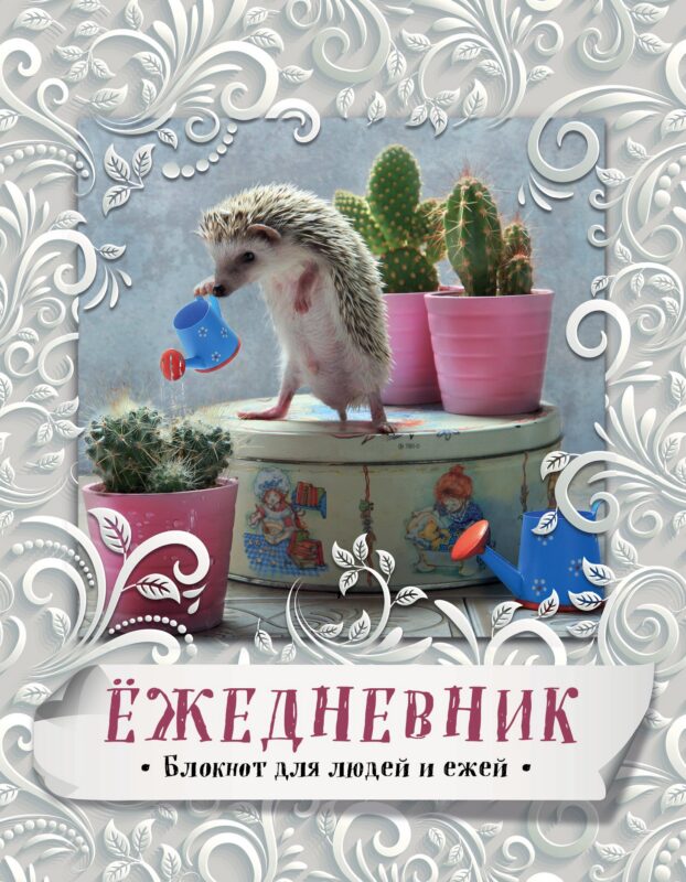Блокнот с ежиками:Ёж.Летний денек