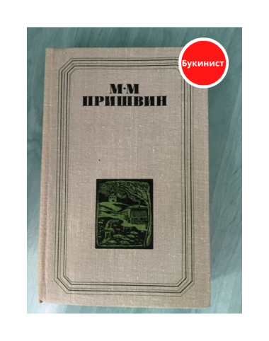 Глаза земли. Корабельная Чаща