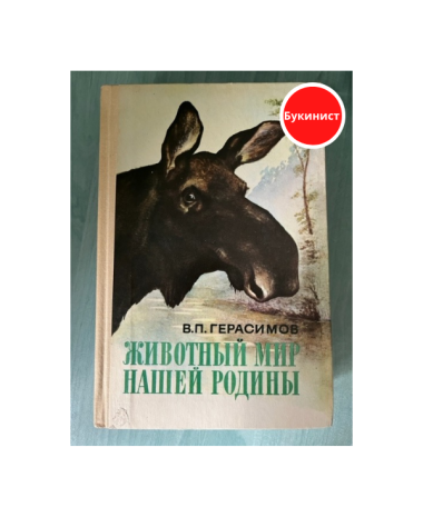 Животный мир нашей Родины