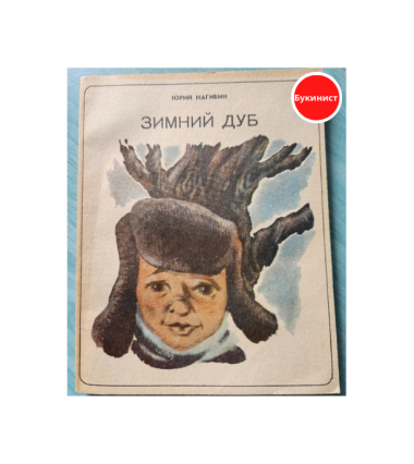 Зимний дуб