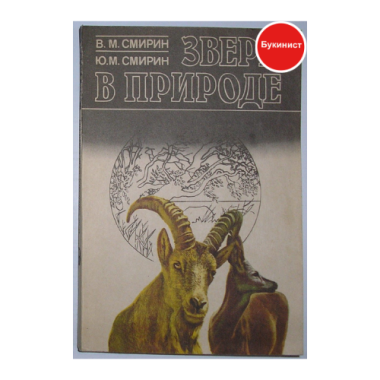 Звери в природе