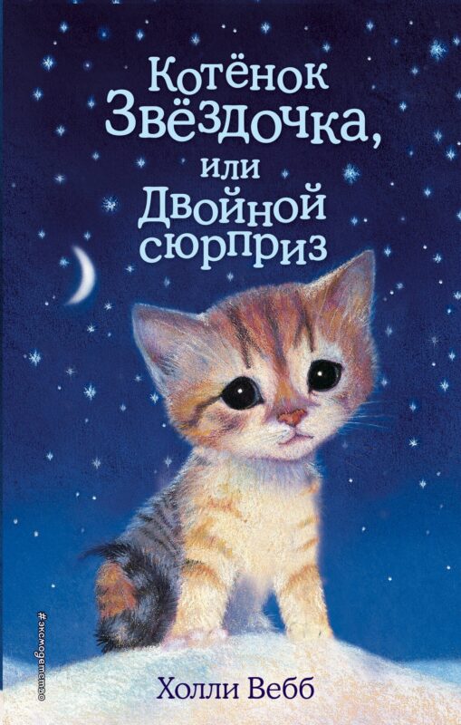 Котенок Звездочка,или Двойной сюрприз