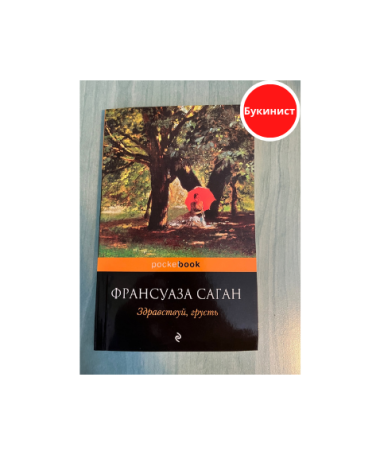 Здравствуй, грусть