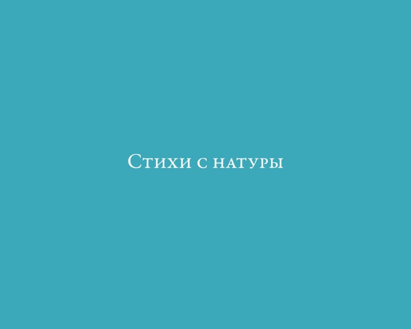Стихи с натуры