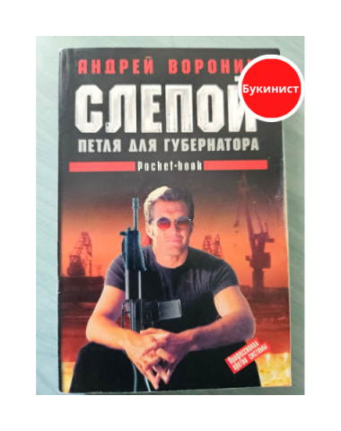 Слепой. Петля для губернатора