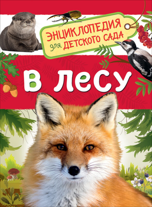 Клюшник Л. В. В лесу (Энциклопедия для детского сада)