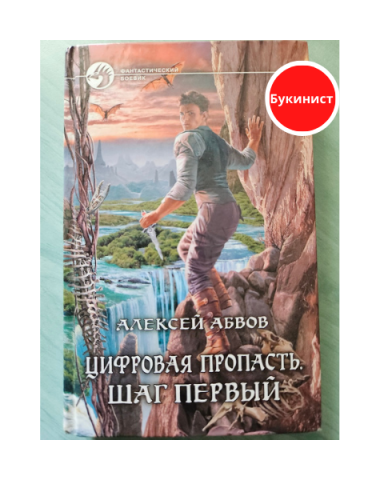 Цифровая пропасть. Шаг первый