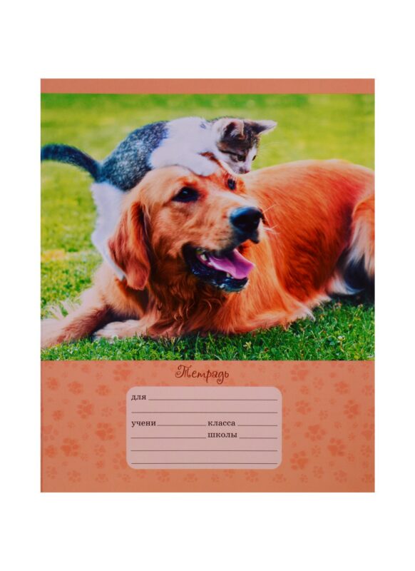 Тетрадь в клетку Unnika, "Лучшие друзья", 12 листов, в ассортименте