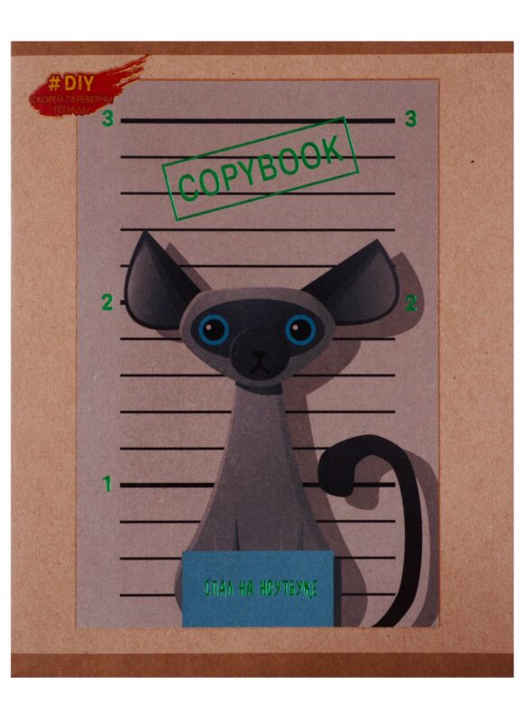 Тетрадь в клетку Paper Art, "DIY Collection. Коты бандиты", 48 листов, в ассортименте