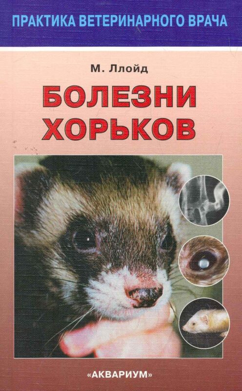 Болезни хорьков