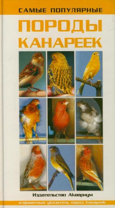 Самые популярные породы канареек