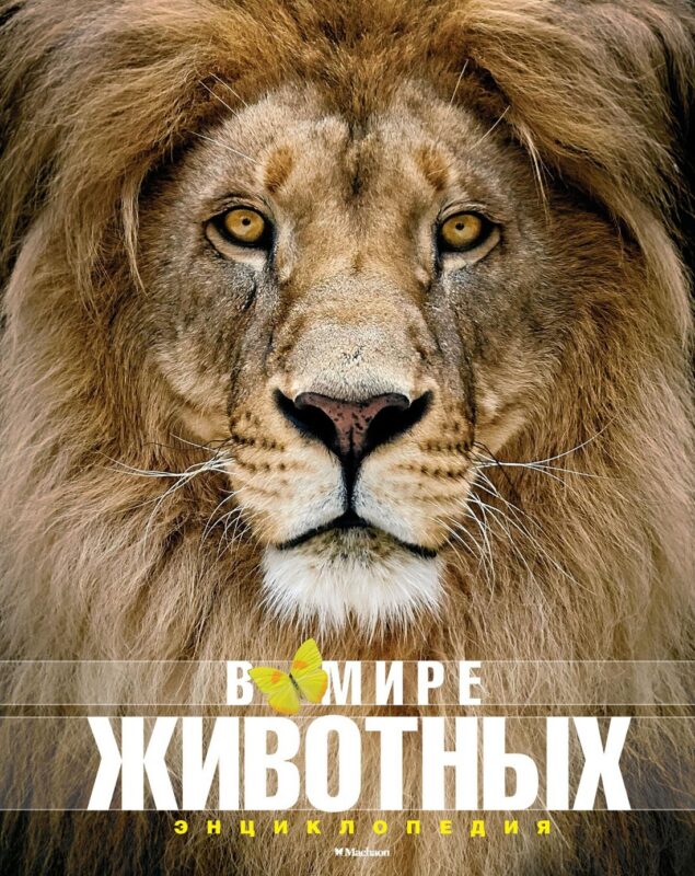 В мире животных