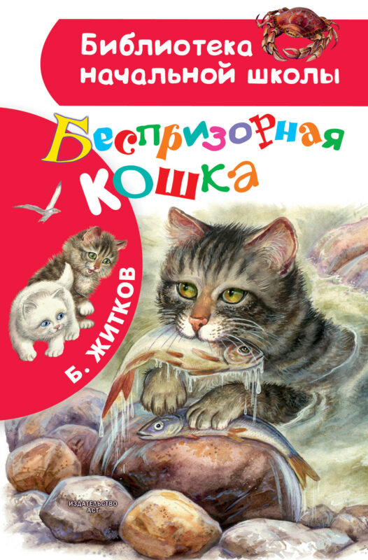 Беспризорная кошка