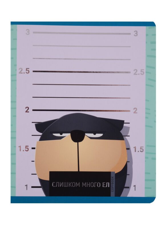 Тетрадь в клетку Unnika, "Попался!", 48 листов, в ассортименте