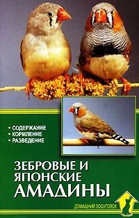 Зебровые и японские амадины. Содержание. Кормление. Разведение