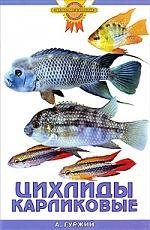 Цихлиды карликовые