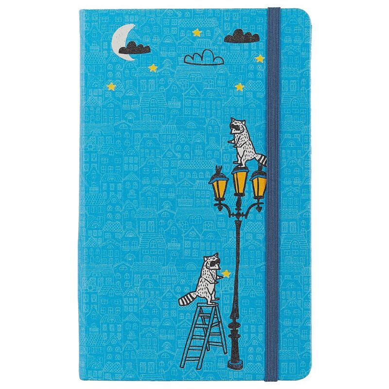 Книга для записей «Funny stories. Еноты», синяя, 96 листов, А5