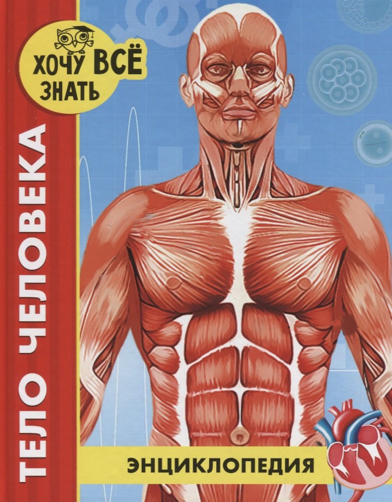 Тело человека. Энциклопедия
