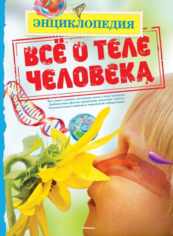 Всё о теле человека