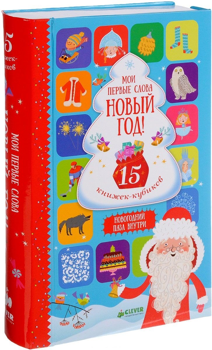 Мои первые слова. Новый год! 15 книжек-кубиков
