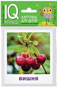 Умный малыш. Что растёт в саду?