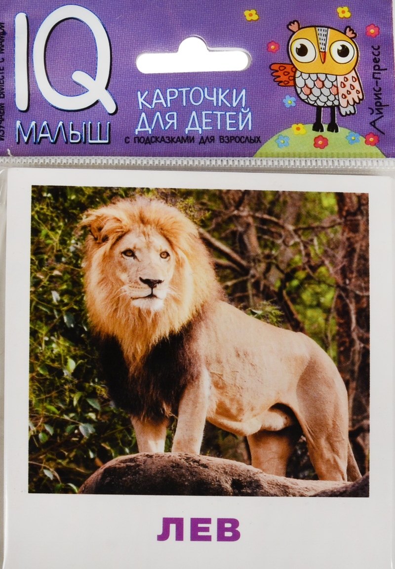 Умный малыш. Животные жарких стран. Набор карточек для детей.