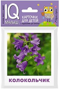 Умный малыш. Что растёт на клумбе?