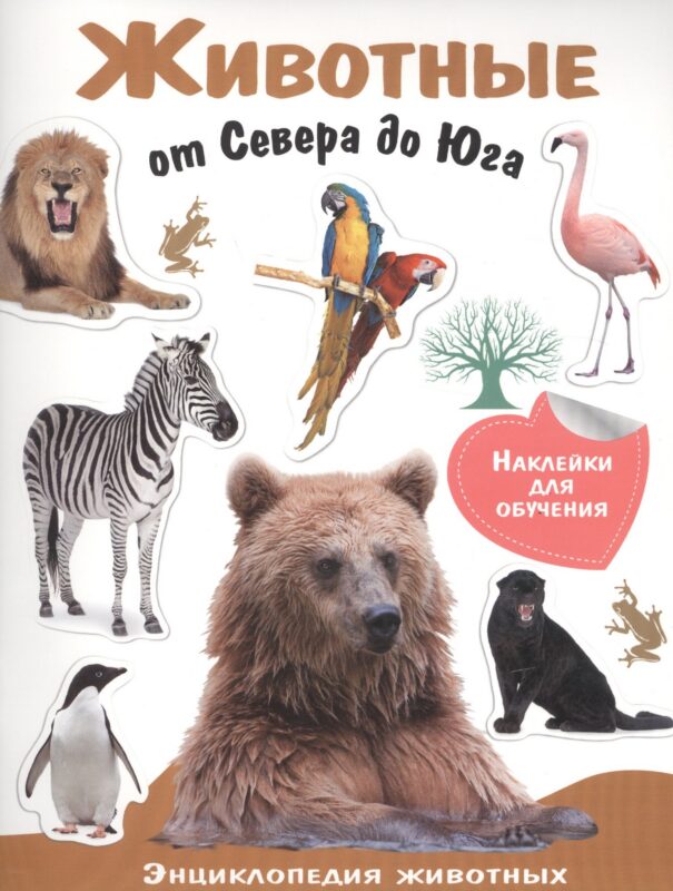 Животные от Севера до Юга