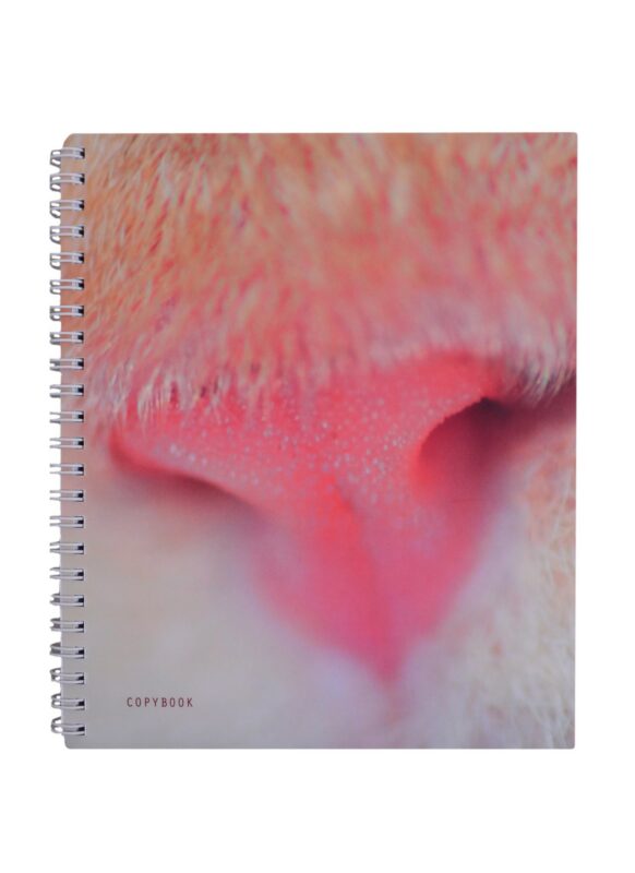 Тетрадь в клетку Unnika, "Мягкие и пушистые", 96 листов, в ассортименте